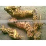 Salacia Dry Extract thumbnail-3