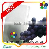 grape growing paper bag for agriculture