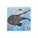 Frozen Monkfish thumbnail-1