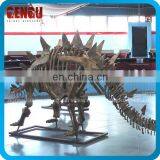 Dinosaur Skeleton Replicas Exhibited in Museum