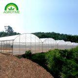 2019 High Strength Multispan Vegetables Greenhouse With Plastic Film for Sale thumbnail-1