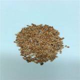 Walnet Shell /walnut Sand Polishing thumbnail-5