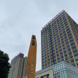 Chongqing Newsin Technology Co., Ltd company overview - view 2 thumbnail