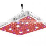New Product 3000W Grow Light Plant Lights for Indoor Plants LED Lamp Full Spectrum thumbnail-2