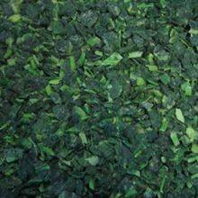 IQF Frozen Spinach :2-3cm,3-5cm,5-7cm thumbnail-3