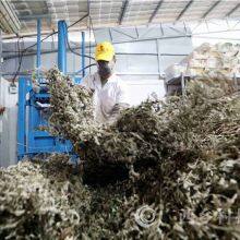 Shandong Yumeiren Wormwood Products Co., Ltd company overview - view 2 thumbnail