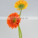 Fashion Golden Sun Buy Gerbera Flowers thumbnail-3