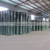 Galvanized Welded Wire Mesh/welded Mesh Price