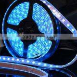 High Brightness 5050 Led Strip Light 13-15M per Led