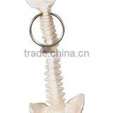 Customized Spine and Pelvis Bone Plastic Key Chains
