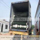 Chain Link Fence (Anping Factory)