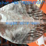 Plastic Goose Decoy in Hunting Decoys Snow Goose Decoy