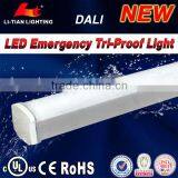 Express China 40w Led Light 5years Warranty IP65 Led Tri-proof Light thumbnail-1