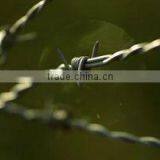 Variety Size Wire Barbed Razor Security Fences Gavanized thumbnail-1