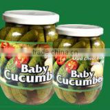 Vietnamese Picked Cucumber in Jar