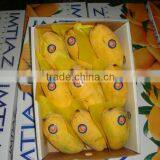 World Delicious Mangoes