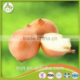 Fresh Red Onion From China thumbnail-2