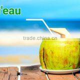 Natural Young Coconut Water Juice thumbnail-3