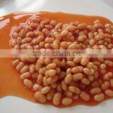 Canned Food Canned White Kidney Beans in Tomato Sauce