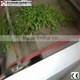 Moringa Leaf Drying Machine/Stevia Microwave Sterilization Equipment