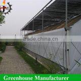 Plastic Mushroom Growing Greenhouse Room thumbnail-4