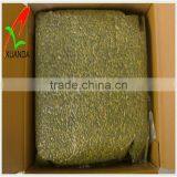 Orgainc Pumpkin Seeds for Roasting thumbnail-3