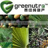 Saw Palmetto Extract Powder