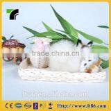 Two Cute Kittens Children's Toys Animal Model Fur Animals Animated Pointed Ears Cat thumbnail-1