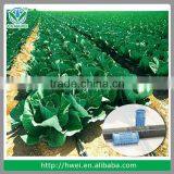 PE Hose Pipe/ Plastic Flexible Hose / Water PE Garden Hose thumbnail-5