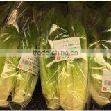 Full Automatic Kale Vegetable Packing Equipment/machine thumbnail-4