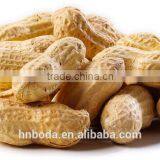 Cashew Nut Hot Air Machinery thumbnail-5