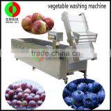 Guangdong Factory Direct Selling Vegetable Washing Machine High Quality Bubble Tomato Washing Machine Vegetable Cleaner thumbnail-2