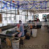 High Quality Galvanized Steel Structure Glass Green House thumbnail-1