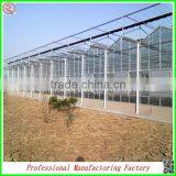 Large Muti-span Polycarbonate Sheet Greenhouse for Tomatos thumbnail-4