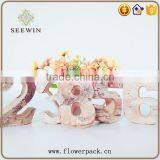 White Birch is Used for the Number of Child Recognition thumbnail-1