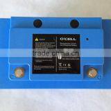 12V Lithium Iron Phosphate Battery 100Ah for Solar Energy / LiFePO4 12V 100Ah Battery Pack thumbnail-2