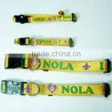 2012 New Fashion Dog Collars thumbnail-1