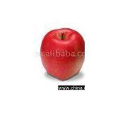Chinese Red Star Apple