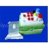 Nitrofuran (AOZ) ELISA Test Kit thumbnail-2