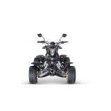 XATV-002-250L (EEC QUAD) thumbnail-1