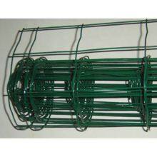 Holland Wire Mesh, Welded, PVC Coated, Used in Railway thumbnail-3