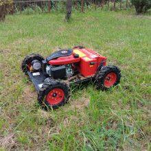 Remote Brush Cutter China Manufacturer Factory Supplier Wholesaler thumbnail-3