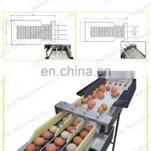 Commercial Egg Sorting Machine Small Egg Grader With Accumulator Lifter Egg Grading Machine thumbnail-3