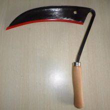 f1ca642af2e481e1ecf917cede7583af_