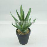 Factory Price New Design Artificial Succulent Plants For Sale