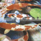 New Design Fashion Look Best Selling Wall and 3d Floor Tile Price thumbnail-3