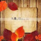 Disperse Brown S2BL for Polyester thumbnail-1