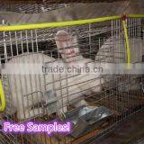 Cages Breeding Rabbits /high Quality Wire Rabbit Cages Sale Made in China thumbnail-2