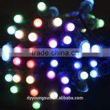 RGB 12mm High Brightness Led String Light thumbnail-3
