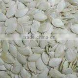 2016 Top Grade Quality Snow White Pumpkin Seeds